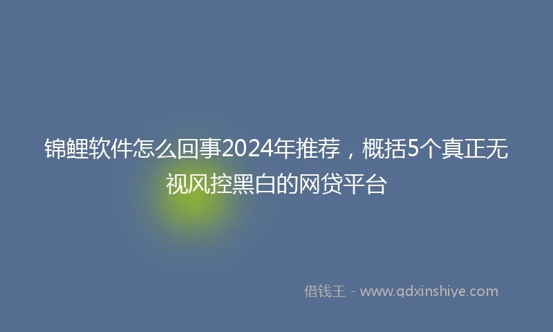 锦鲤软件怎么回事2024年推荐，概括5个真正无视风控黑白的网贷平台