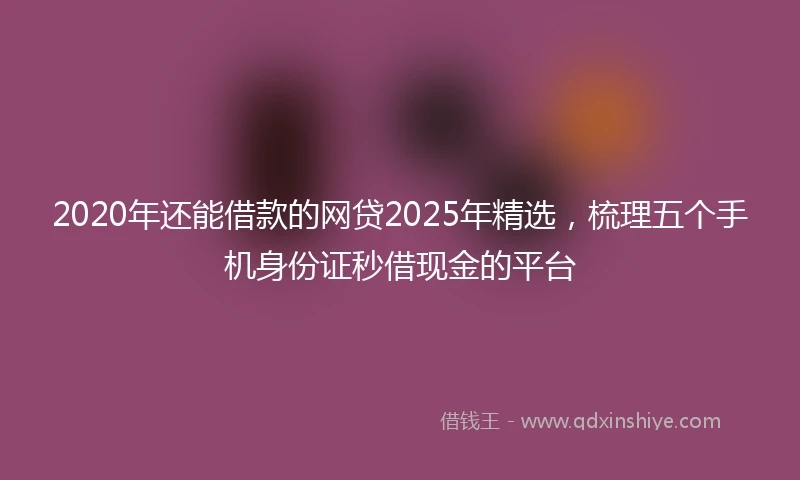 2020年还能借款的网贷2025年精选，梳理五个手机身份证秒借现金的平台