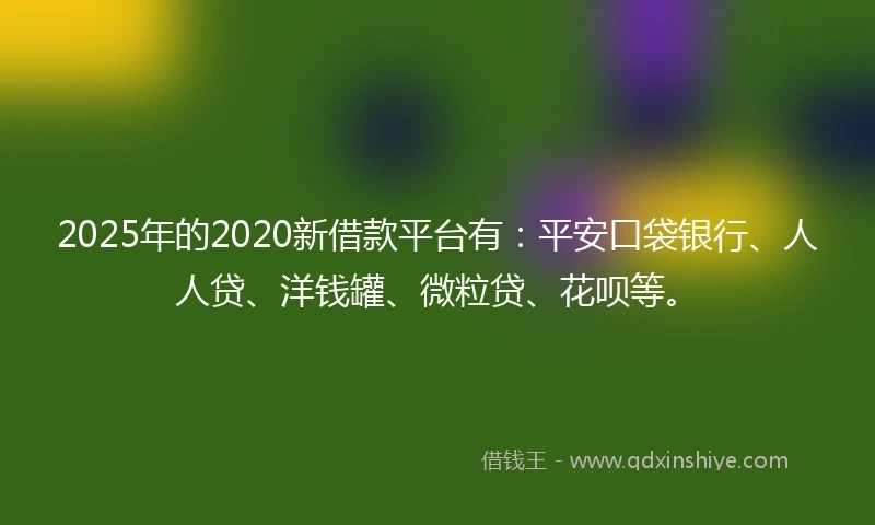 2025年的2020新借款平台有：平安口袋银行、人人贷、洋钱罐、微粒贷、花呗等。