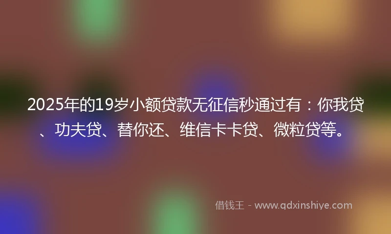 2025年的19岁小额贷款无征信秒通过有：你我贷、功夫贷、替你还、维信卡卡贷、微粒贷等。