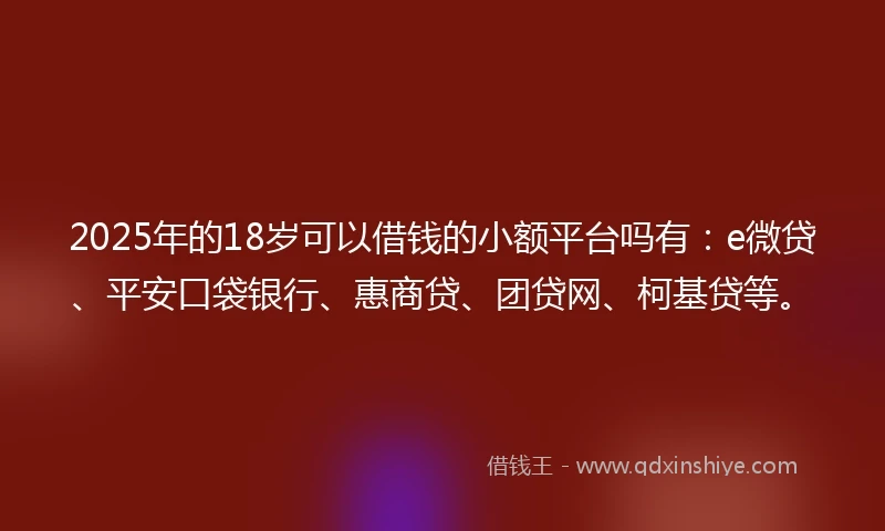 2025年的18岁可以借钱的小额平台吗有：e微贷、平安口袋银行、惠商贷、团贷网、柯基贷等。