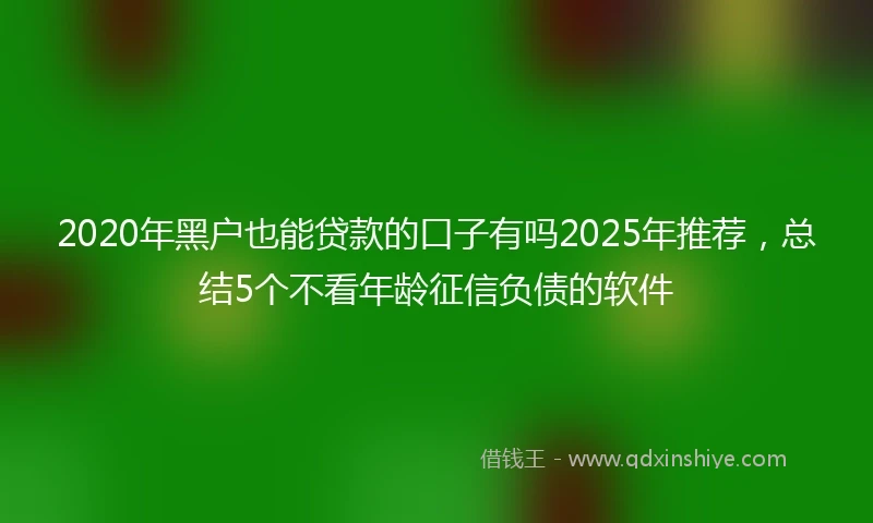2020年黑户也能贷款的口子有吗2025年推荐，总结5个不看年龄征信负债的软件
