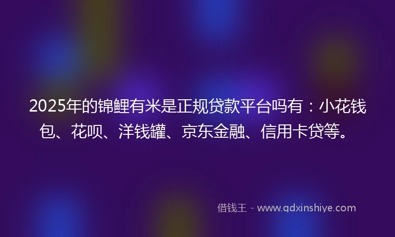 2025年的锦鲤有米是正规贷款平台吗有：小花钱包、花呗、洋钱罐、京东金融、信用卡贷等。