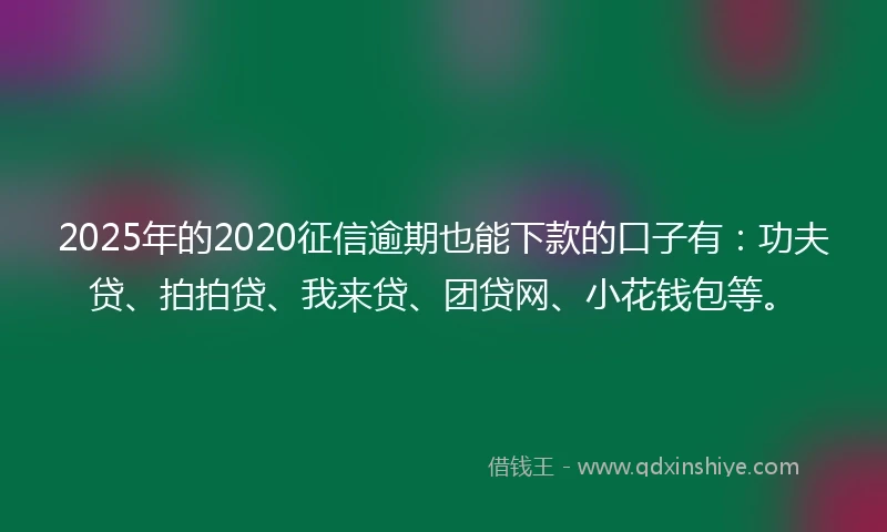 2025年的2020征信逾期也能下款的口子有：功夫贷、拍拍贷、我来贷、团贷网、小花钱包等。