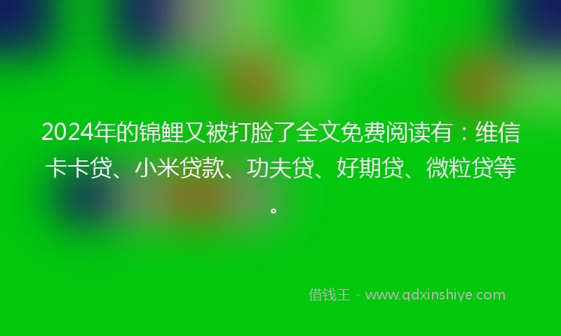 2024年的锦鲤又被打脸了全文免费阅读有：维信卡卡贷、小米贷款、功夫贷、好期贷、微粒贷等。