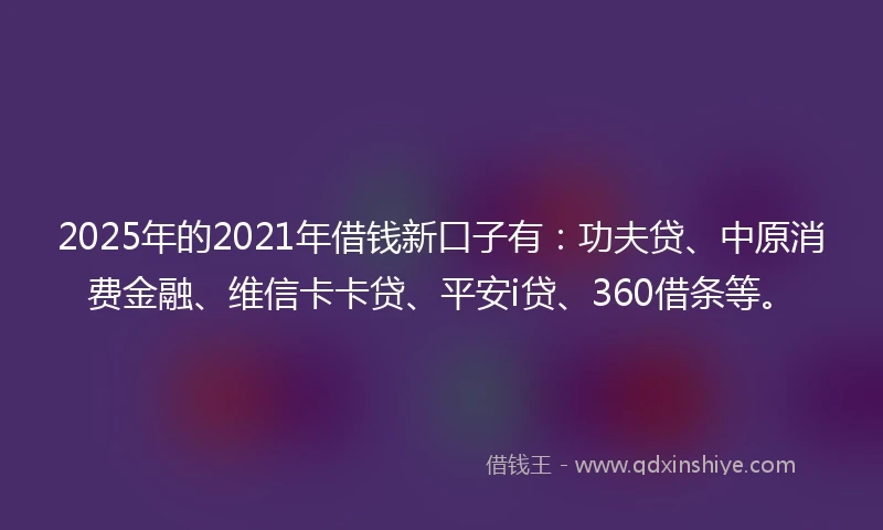 2025年的2021年借钱新口子有：功夫贷、中原消费金融、维信卡卡贷、平安i贷、360借条等。