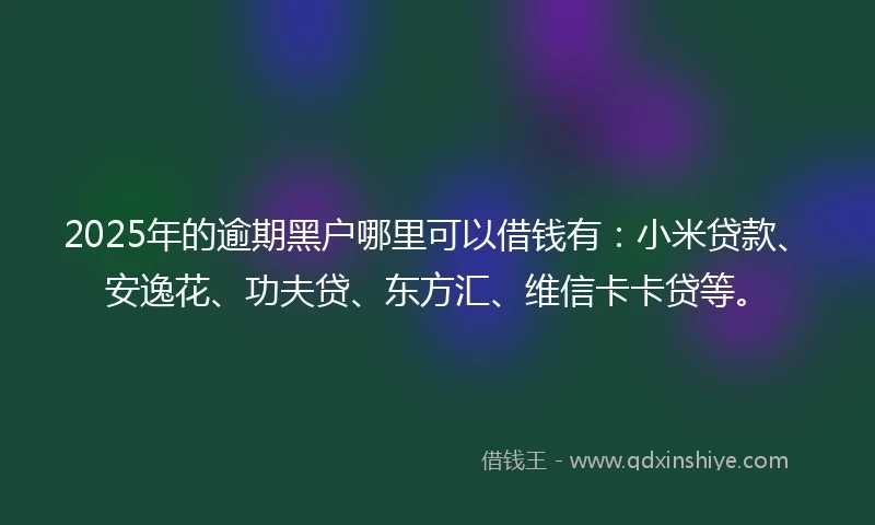 2025年的逾期黑户哪里可以借钱有：小米贷款、安逸花、功夫贷、东方汇、维信卡卡贷等。
