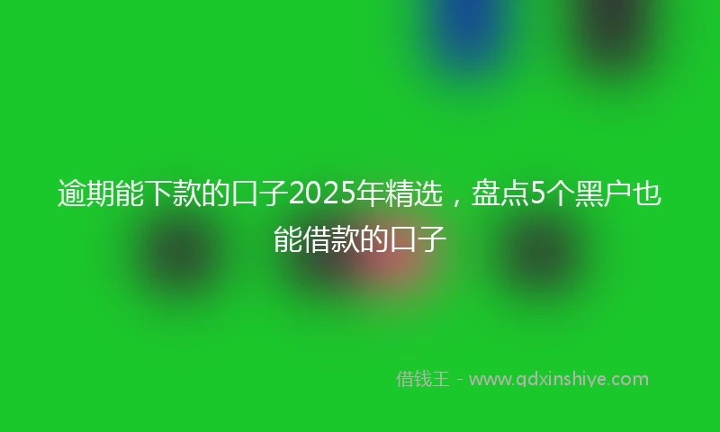 逾期能下款的口子2025年精选，盘点5个黑户也能借款的口子