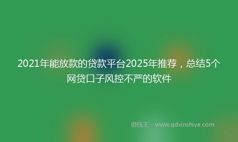 2021年能放款的贷款平台2025年推荐，总结5个网贷口子风控不严的软件