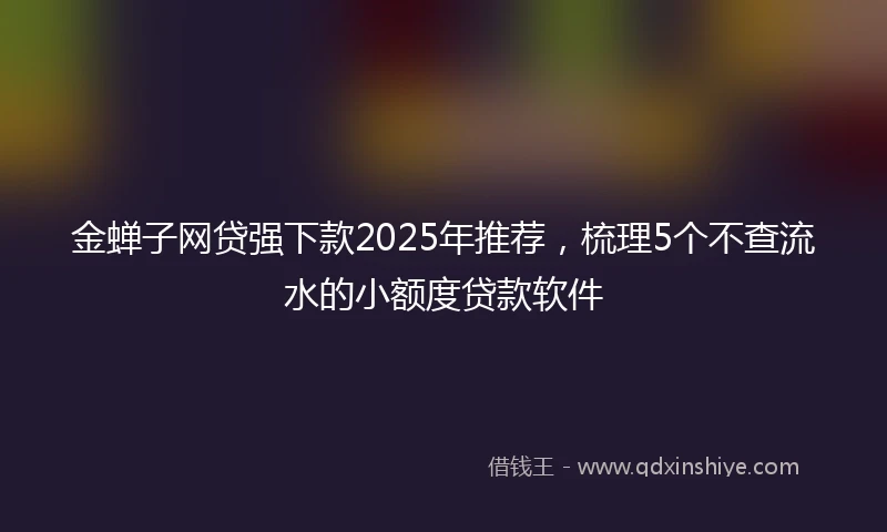 金蝉子网贷强下款2025年推荐，梳理5个不查流水的小额度贷款软件