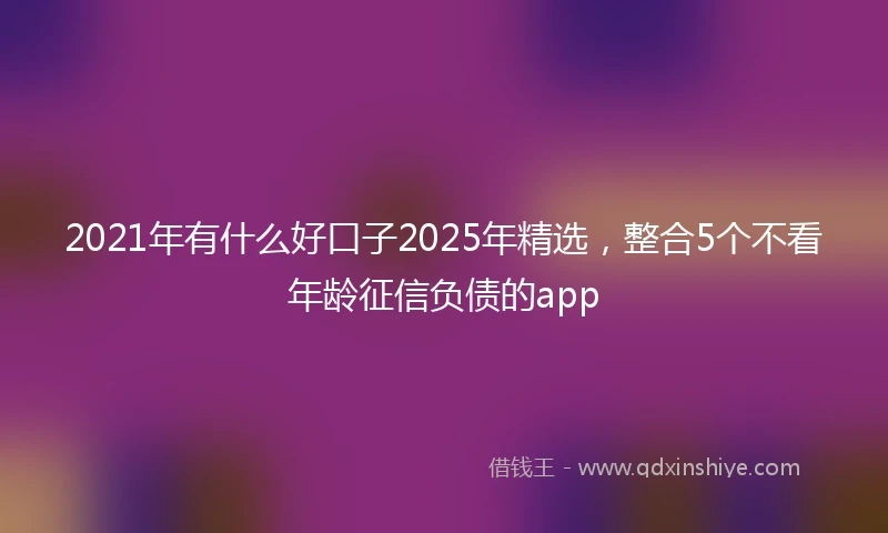 2021年有什么好口子2025年精选，整合5个不看年龄征信负债的app