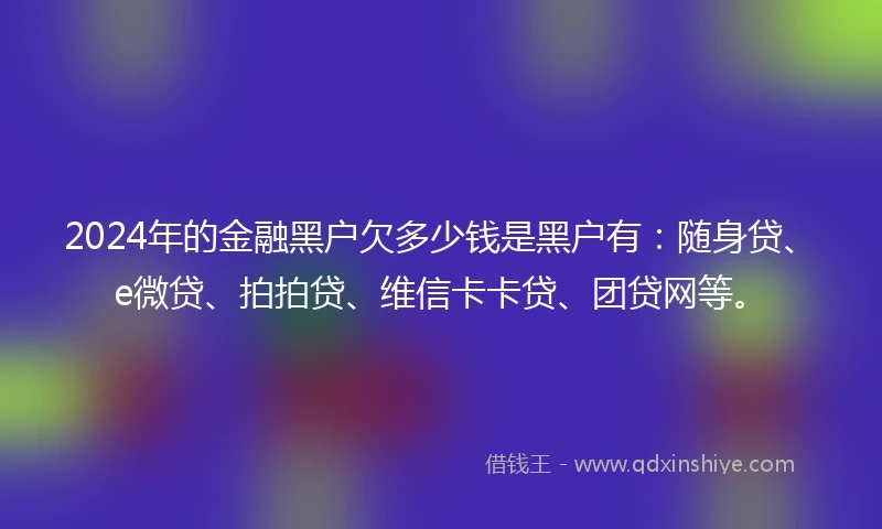 2024年的金融黑户欠多少钱是黑户有：随身贷、e微贷、拍拍贷、维信卡卡贷、团贷网等。