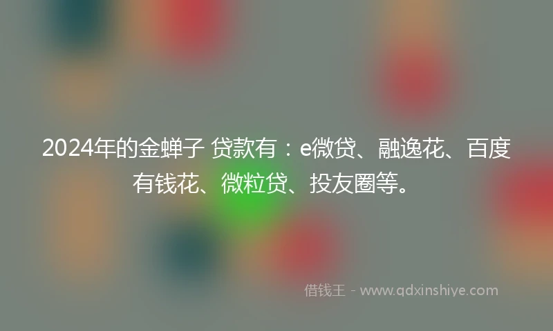 2024年的金蝉子 贷款有：e微贷、融逸花、百度有钱花、微粒贷、投友圈等。