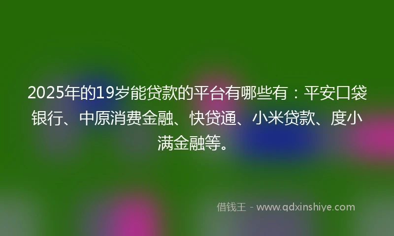 2025年的19岁能贷款的平台有哪些有：平安口袋银行、中原消费金融、快贷通、小米贷款、度小满金融等。