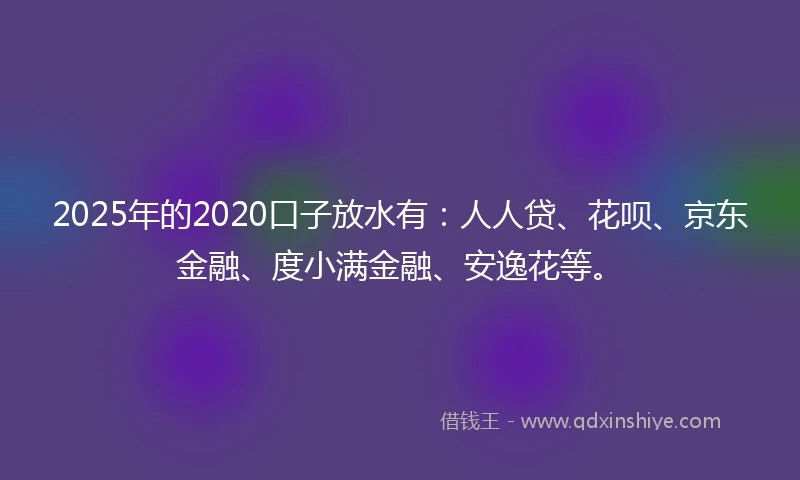 2025年的2020口子放水有：人人贷、花呗、京东金融、度小满金融、安逸花等。