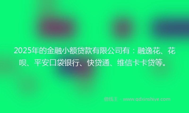 2025年的金融小额贷款有限公司有：融逸花、花呗、平安口袋银行、快贷通、维信卡卡贷等。