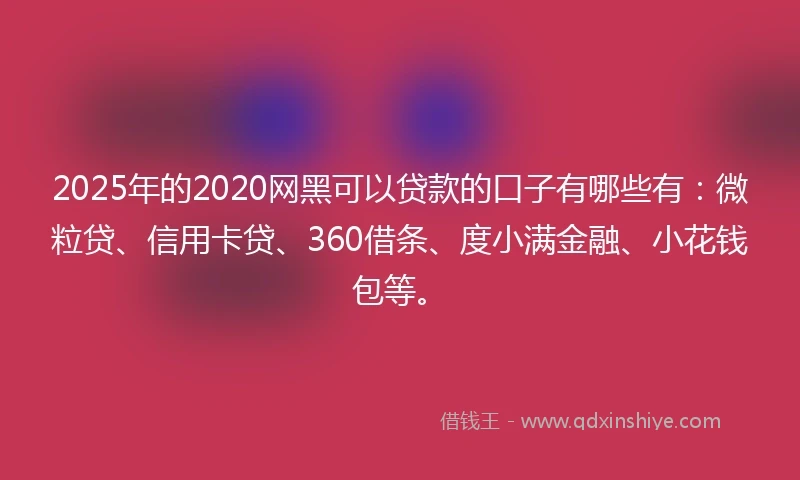 2025年的2020网黑可以贷款的口子有哪些有：微粒贷、信用卡贷、360借条、度小满金融、小花钱包等。