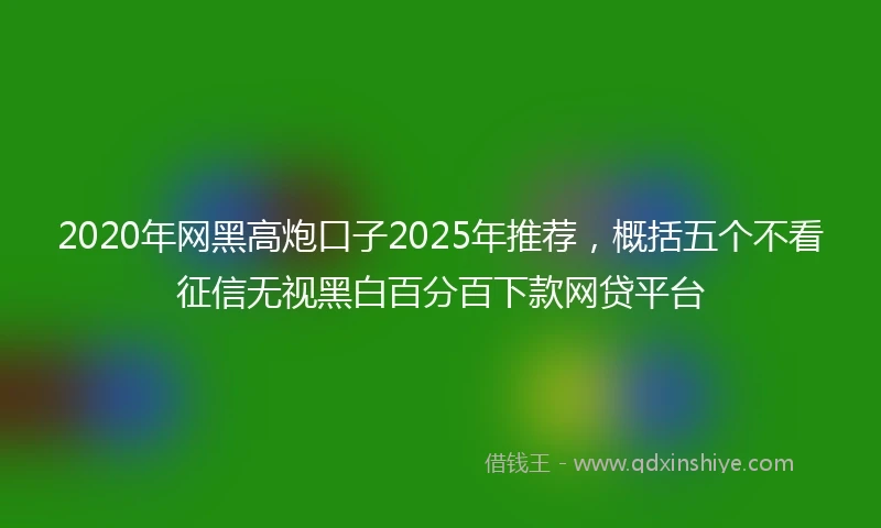 2020年网黑高炮口子2025年推荐，概括五个不看征信无视黑白百分百下款网贷平台