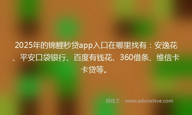 2025年的锦鲤秒贷app入口在哪里找有：安逸花、平安口袋银行、百度有钱花、360借条、维信卡卡贷等。
