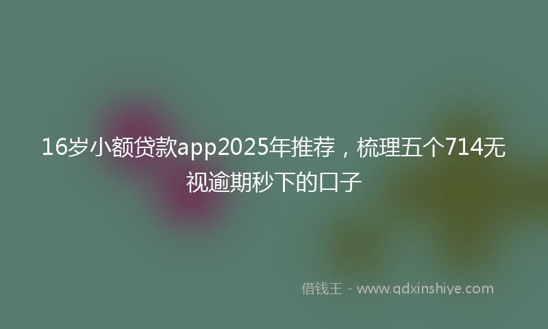 16岁小额贷款app2025年推荐，梳理五个714无视逾期秒下的口子