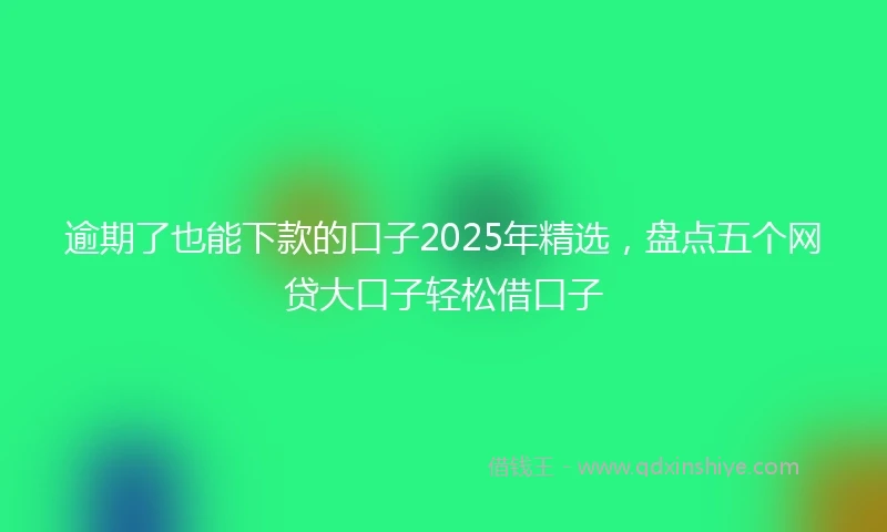 逾期了也能下款的口子2025年精选，盘点五个网贷大口子轻松借口子
