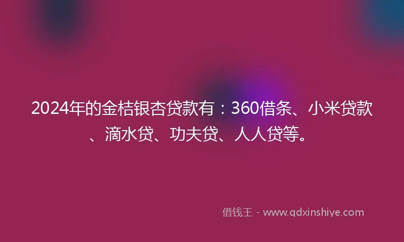 2024年的金桔银杏贷款有：360借条、小米贷款、滴水贷、功夫贷、人人贷等。