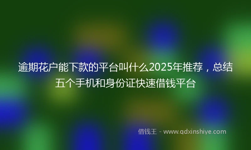 逾期花户能下款的平台叫什么2025年推荐，总结五个手机和身份证快速借钱平台