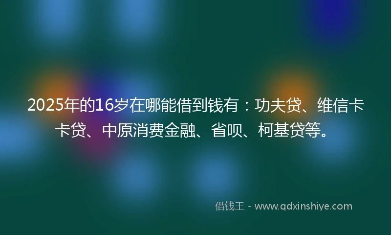 2025年的16岁在哪能借到钱有：功夫贷、维信卡卡贷、中原消费金融、省呗、柯基贷等。