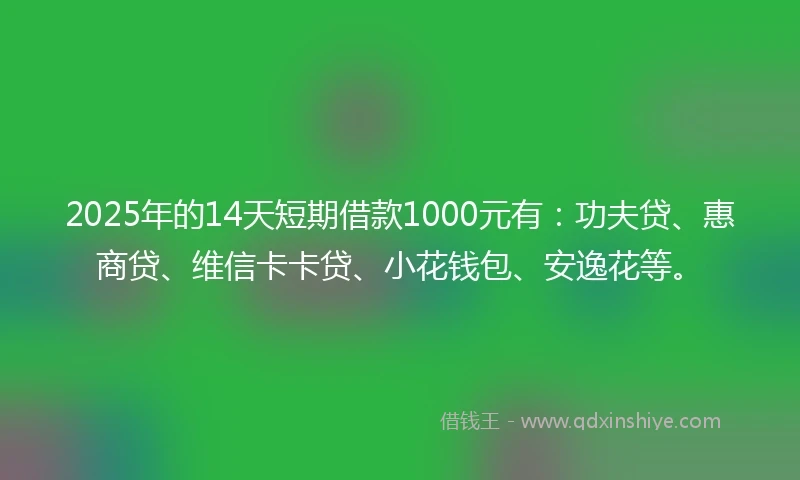 2025年的14天短期借款1000元有：功夫贷、惠商贷、维信卡卡贷、小花钱包、安逸花等。