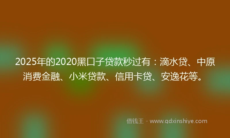 2025年的2020黑口子贷款秒过有：滴水贷、中原消费金融、小米贷款、信用卡贷、安逸花等。