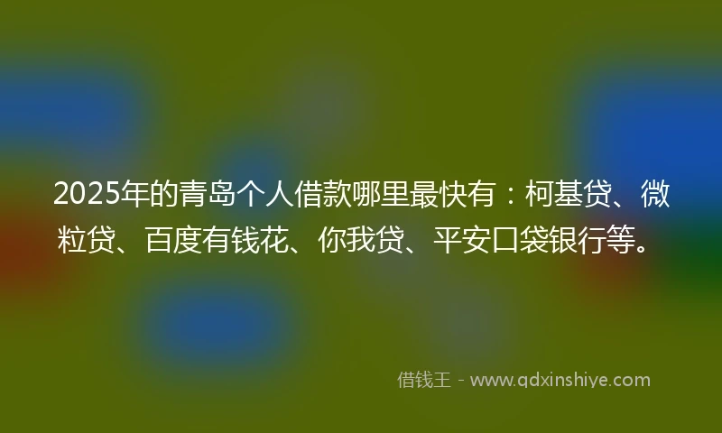 2025年的青岛个人借款哪里最快有：柯基贷、微粒贷、百度有钱花、你我贷、平安口袋银行等。
