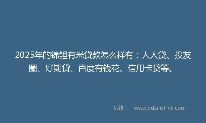 2025年的锦鲤有米贷款怎么样有：人人贷、投友圈、好期贷、百度有钱花、信用卡贷等。