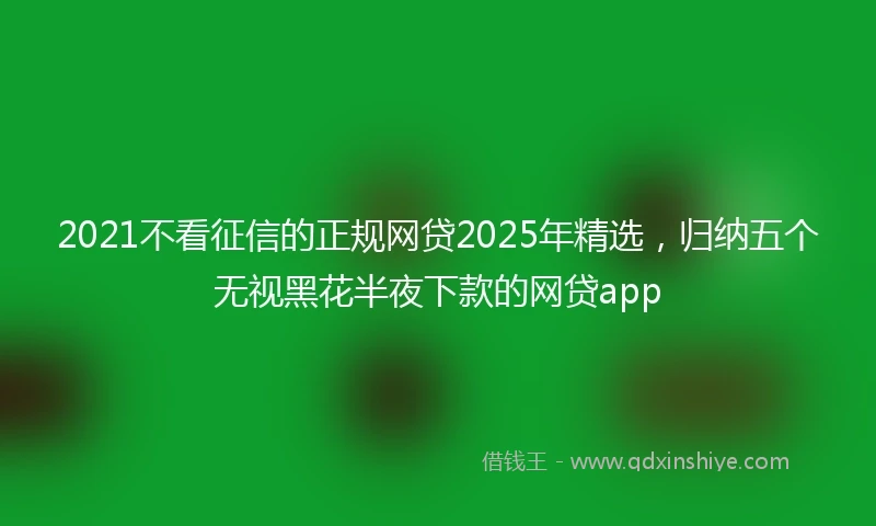 2021不看征信的正规网贷2025年精选，归纳五个无视黑花半夜下款的网贷app
