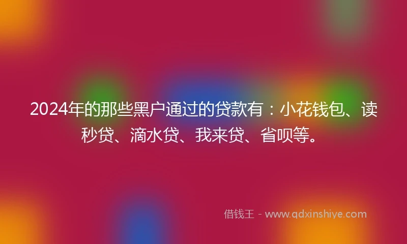 2024年的那些黑户通过的贷款有：小花钱包、读秒贷、滴水贷、我来贷、省呗等。