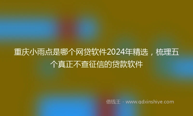 重庆小雨点是哪个网贷软件2024年精选，梳理五个真正不查征信的贷款软件
