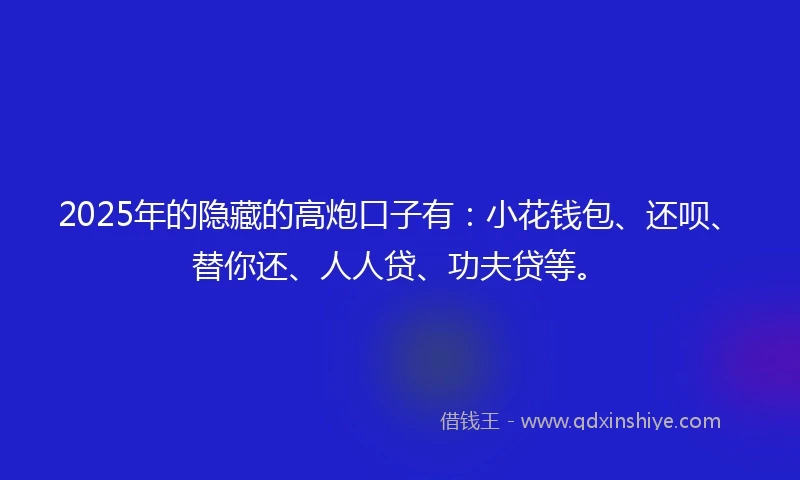 2025年的隐藏的高炮口子有：小花钱包、还呗、替你还、人人贷、功夫贷等。