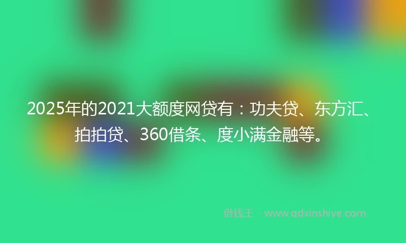 2025年的2021大额度网贷有：功夫贷、东方汇、拍拍贷、360借条、度小满金融等。