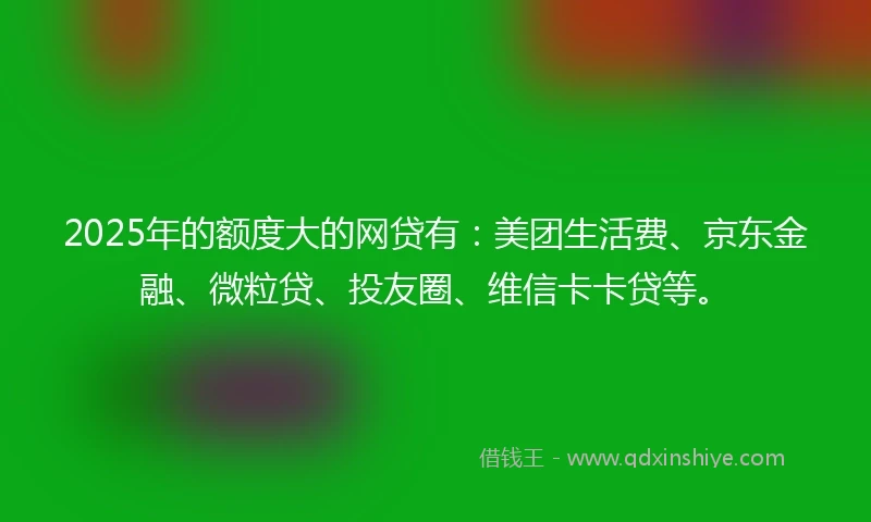 2025年的额度大的网贷有：美团生活费、京东金融、微粒贷、投友圈、维信卡卡贷等。