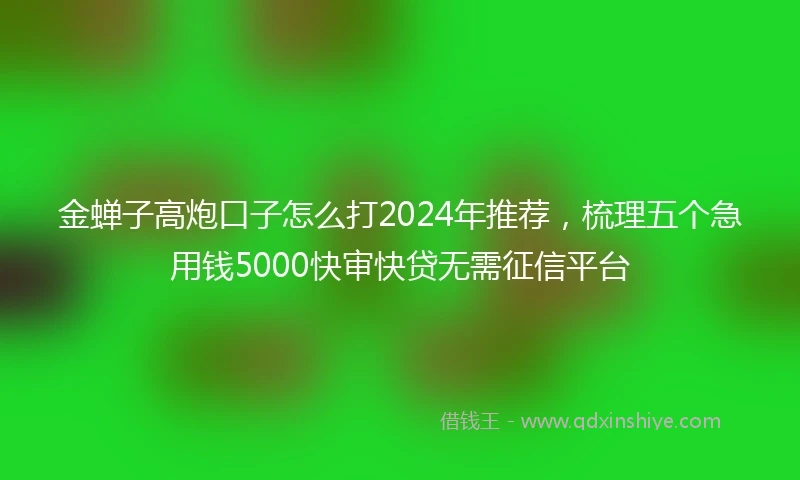 金蝉子高炮口子怎么打2024年推荐，梳理五个急用钱5000快审快贷无需征信平台