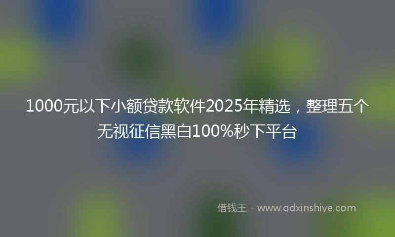 1000元以下小额贷款软件2025年精选，整理五个无视征信黑白100%秒下平台