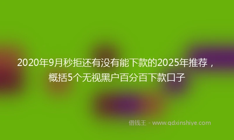 2020年9月秒拒还有没有能下款的2025年推荐，概括5个无视黑户百分百下款口子