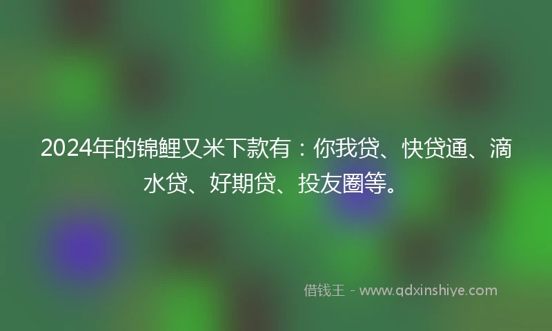 2024年的锦鲤又米下款有：你我贷、快贷通、滴水贷、好期贷、投友圈等。