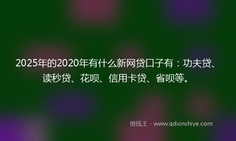 2025年的2020年有什么新网贷口子有：功夫贷、读秒贷、花呗、信用卡贷、省呗等。