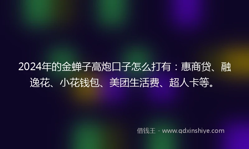 2024年的金蝉子高炮口子怎么打有：惠商贷、融逸花、小花钱包、美团生活费、超人卡等。