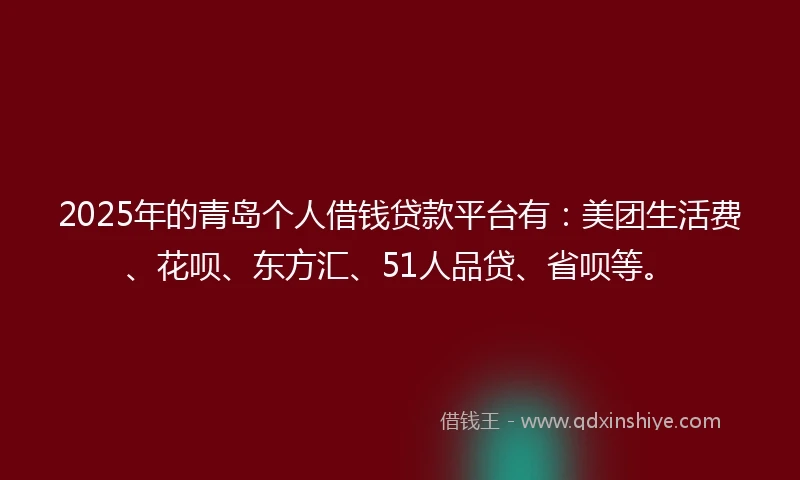 2025年的青岛个人借钱贷款平台有：美团生活费、花呗、东方汇、51人品贷、省呗等。