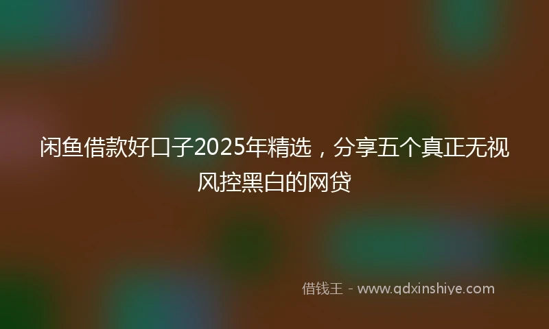 闲鱼借款好口子2025年精选，分享五个真正无视风控黑白的网贷