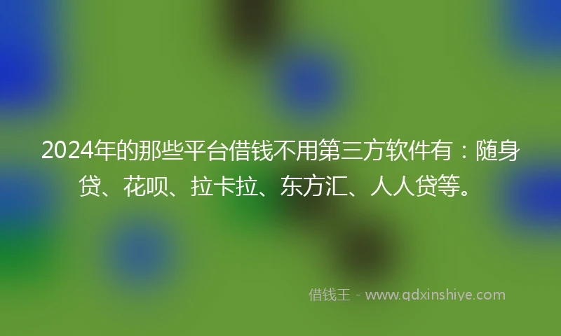 2024年的那些平台借钱不用第三方软件有：随身贷、花呗、拉卡拉、东方汇、人人贷等。