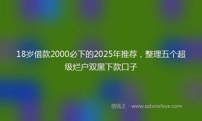 18岁借款2000必下的2025年推荐，整理五个超级烂户双黑下款口子