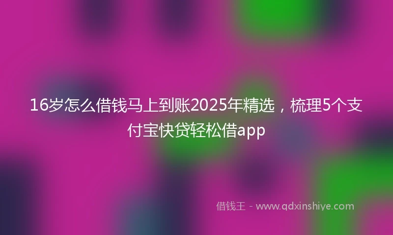 16岁怎么借钱马上到账2025年精选，梳理5个支付宝快贷轻松借app