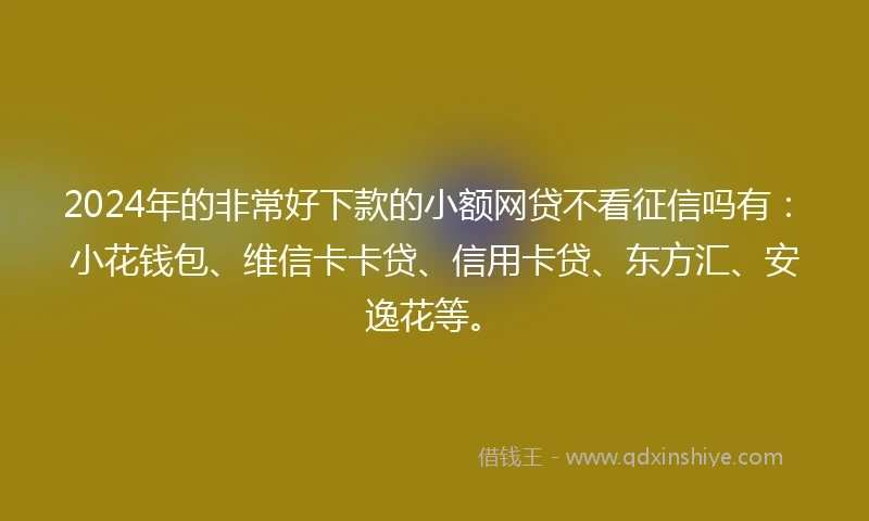 2024年的非常好下款的小额网贷不看征信吗有：小花钱包、维信卡卡贷、信用卡贷、东方汇、安逸花等。